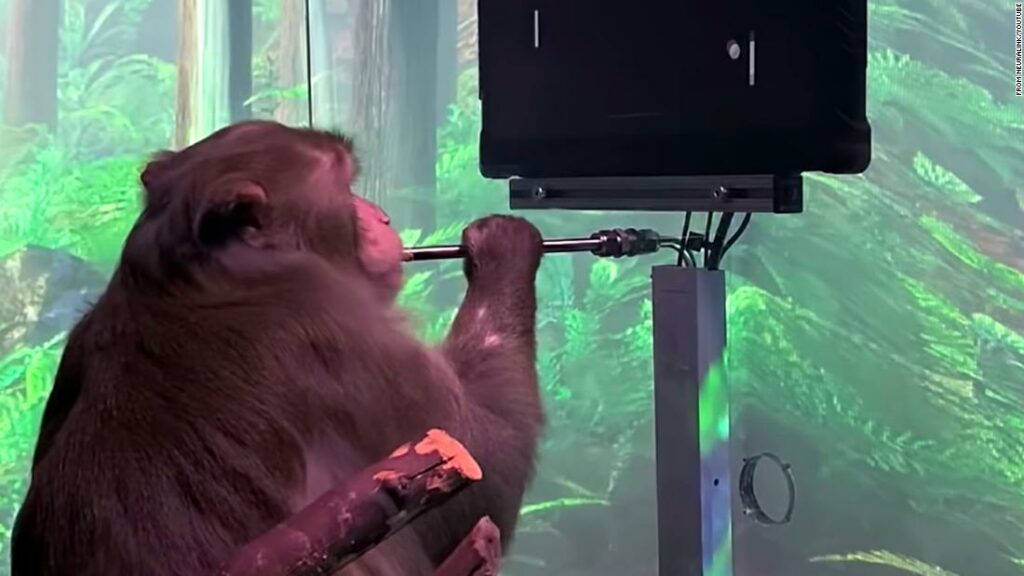 Brain to Machine Interface - Neuralink Monkey Playing a Video Game with