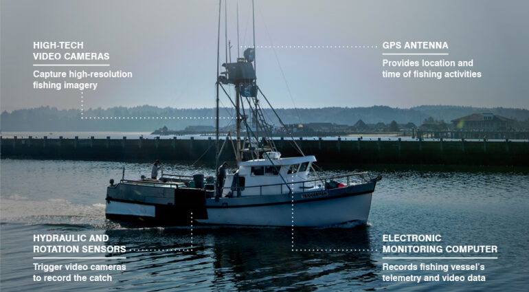 Smart Boats will change everything? (Image: EDF)