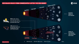 black holes dark matter