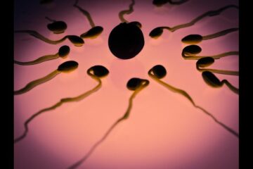 With the pandemic causing a sperm shortage, the lack of sperm donation laws could lead to more lawsuits and issues.