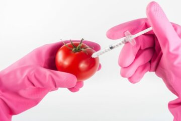 A new study on GMO foods shows that the general public is becoming more positive toward the science.