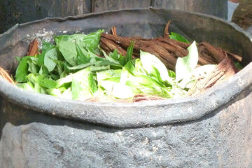 Is Ayahuasca Safe? New Research Examines Risks Linked to the Ancient ...