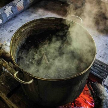 Is Ayahuasca Safe? New Research Examines Risks Linked to the