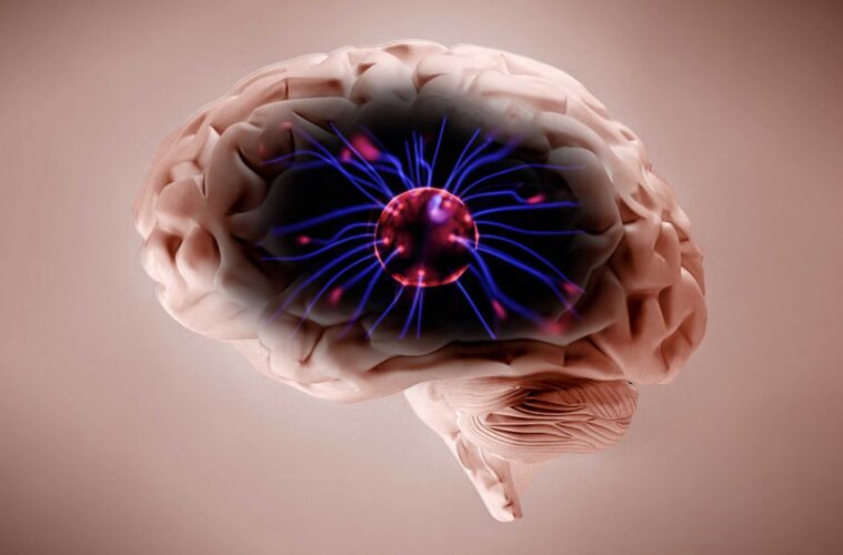 quantum brain