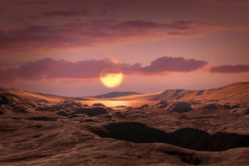 Potentially Habitable Exoplanet Wolf 1069 b
