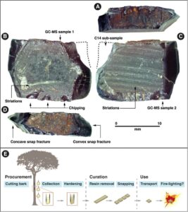 Tree resin artefact (WAI-1-1024) from trench 2, directly dated to >55 000–49 620 cal BP: A) lateral side with rough surface texture; B) dorsal side with flat surface, chipping and minor scraping marks; C) ventral side showing parallel marks, possibly from scraping or the imprint of a scraped surface; D) lateral side with rough surface texture showing snaps. E illustrates a provisional hypothesis for the sequence of resin artefact production (figure by authors).