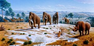 The image depicts a late Pleistocene landscape in northern Spain with woolly mammoths (Mammuthus primigenius), equids, a woolly rhinoceros (Coelodonta antiquitatis), and European cave lions (Panthera leo spelaea) with a reindeer carcass. Image Credit: Caitlin Sedwick (1 April 2008). "What Killed the Woolly Mammoth?". PLoS Biology 6 (4): e99. OI:10.1371/journal.pbio.0060099. Author Mauricio Antón.
