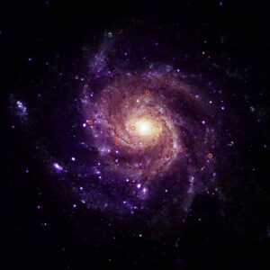 The Pinwheel galaxy hosts seven of the strange objects. Credit: X-ray: NASA/CXC/Univ. of Alabama/M. Muhibullah et al.; Optical: NASA/ESA/STScI; Image Processing: NASA/CXC/SAO/N. Wolk