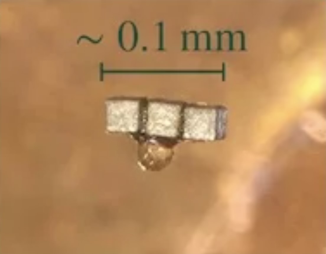 The tiny magnet used by the Rice University research team (Image Credit: Christopher Tunnell/Rice University).